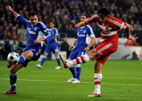 不仅提高了 不仅提高了